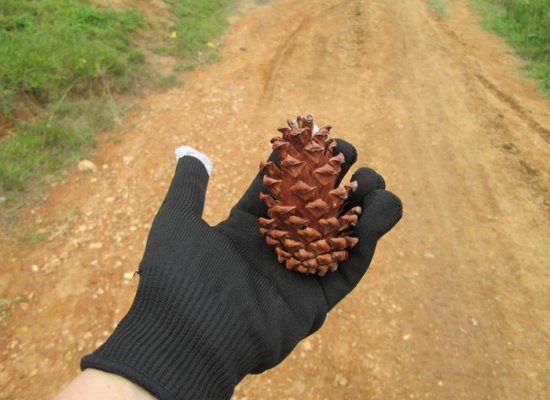Tà Năng Trekking kỳ 8: Chỉ toàn trải chuyện vui? Không đâu!