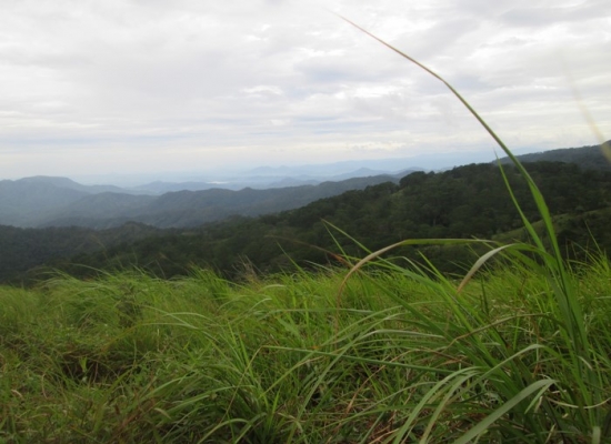 Tà Năng Trekking kỳ 5: Ở đây sương khói mờ nhân ảnh…