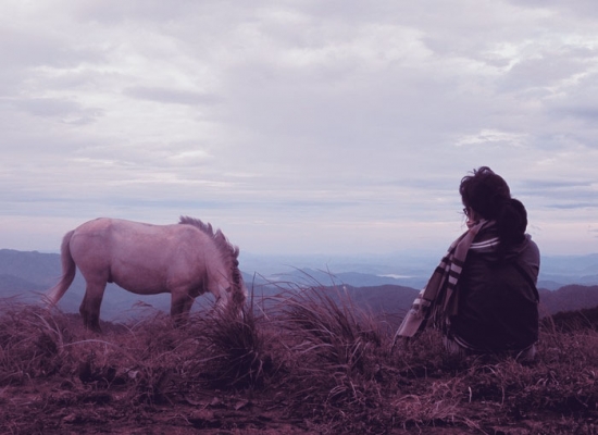 Tà Năng Trekking kỳ 4: Bạn chỉ có thế thôi ư?