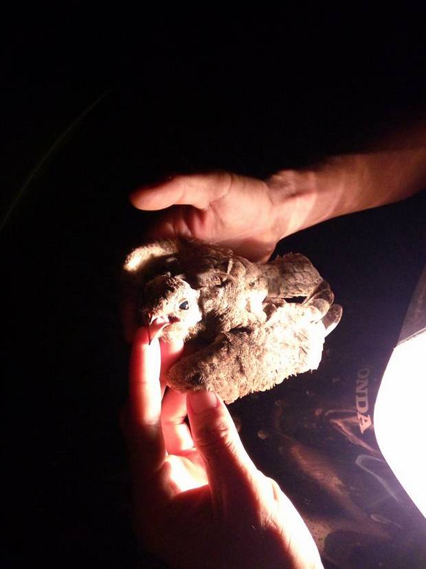 Đạp xe 160km cùng anh chàng người Đức đi Hồ trị An giữa cái nóng buổi trưa 40 độ.