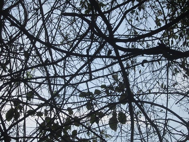 Đừng khóc ở Ma Thiên Lãnh