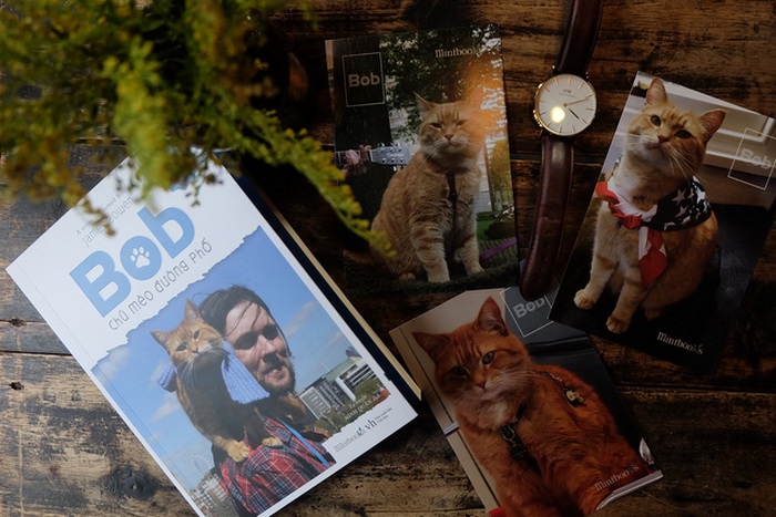 Review sách Bob - Chú mèo đường phố